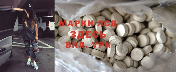 прущие грибы Бугульма