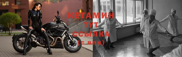 трава Бородино