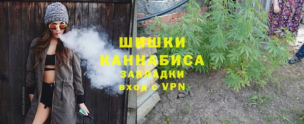 PSILOCYBIN Бронницы