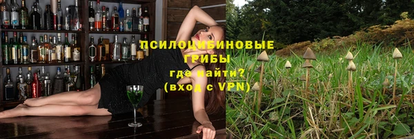 прущие грибы Бугульма