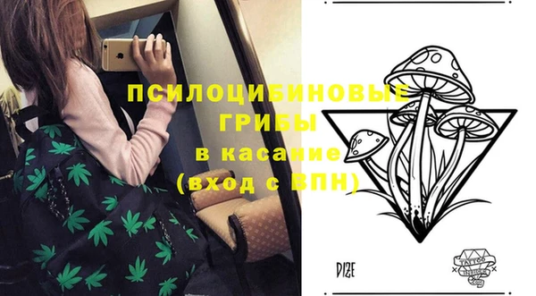 прущие грибы Бугульма
