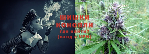 трава Бородино