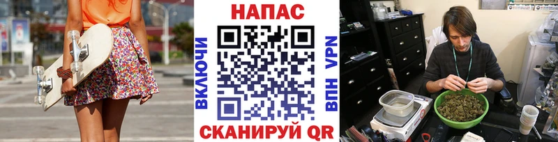 купить  цена  Шагонар  Каннабис AK-47 